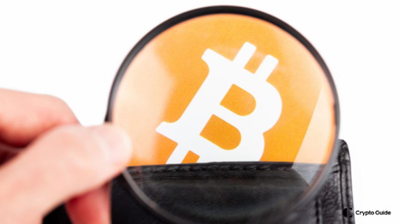 como escolher uma carteira de criptomoedas