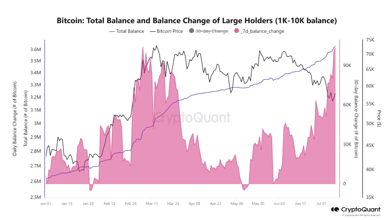 altera&ccedil;&atilde;o-do-saldo-di&aacute;rio-de-Bitcoin