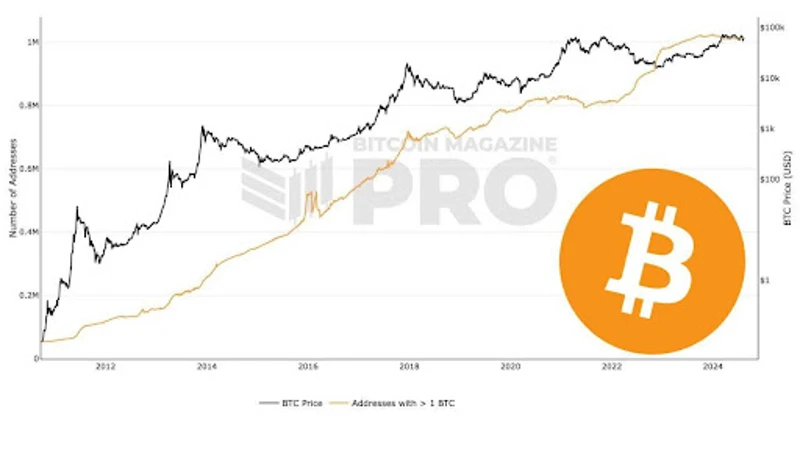 Gráfico mostrando o número de endereços de Bitcoin com 1 BTC