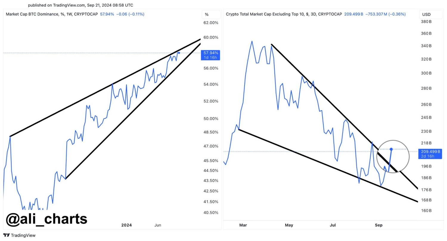 Tend&ecirc;ncia-de-alta-nos-mercados-de-altcoin